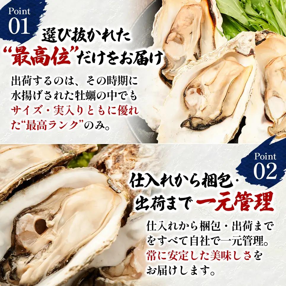 訳あり 北海道 厚岸産  殻付き 牡蠣 350g 【光輝】 [ 魚貝類 生牡蠣 海鮮 海の幸 生食用牡蠣 生食用 生食用殻付き牡蠣 濃厚 甘み  オイスター ]  