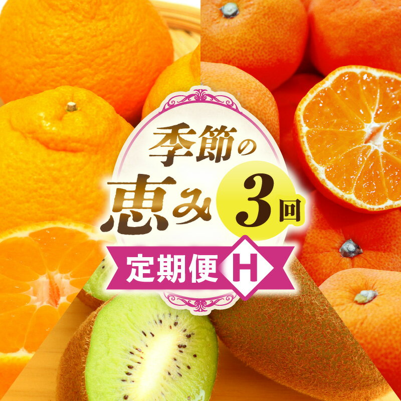 【ふるさと納税】季節の恵み3回定期便H 果物 フルーツ 青果 青果物 デザート スイーツ 果実 旬 季節 旬の果物 季節の果物 生鮮食品 生鮮 贈答 贈り物 ギフト プレゼント おすそ分け ご褒美 人気 グルメ お取り寄せ 特産品 特産 国産 香川県 三木町 レビューキャンペーン