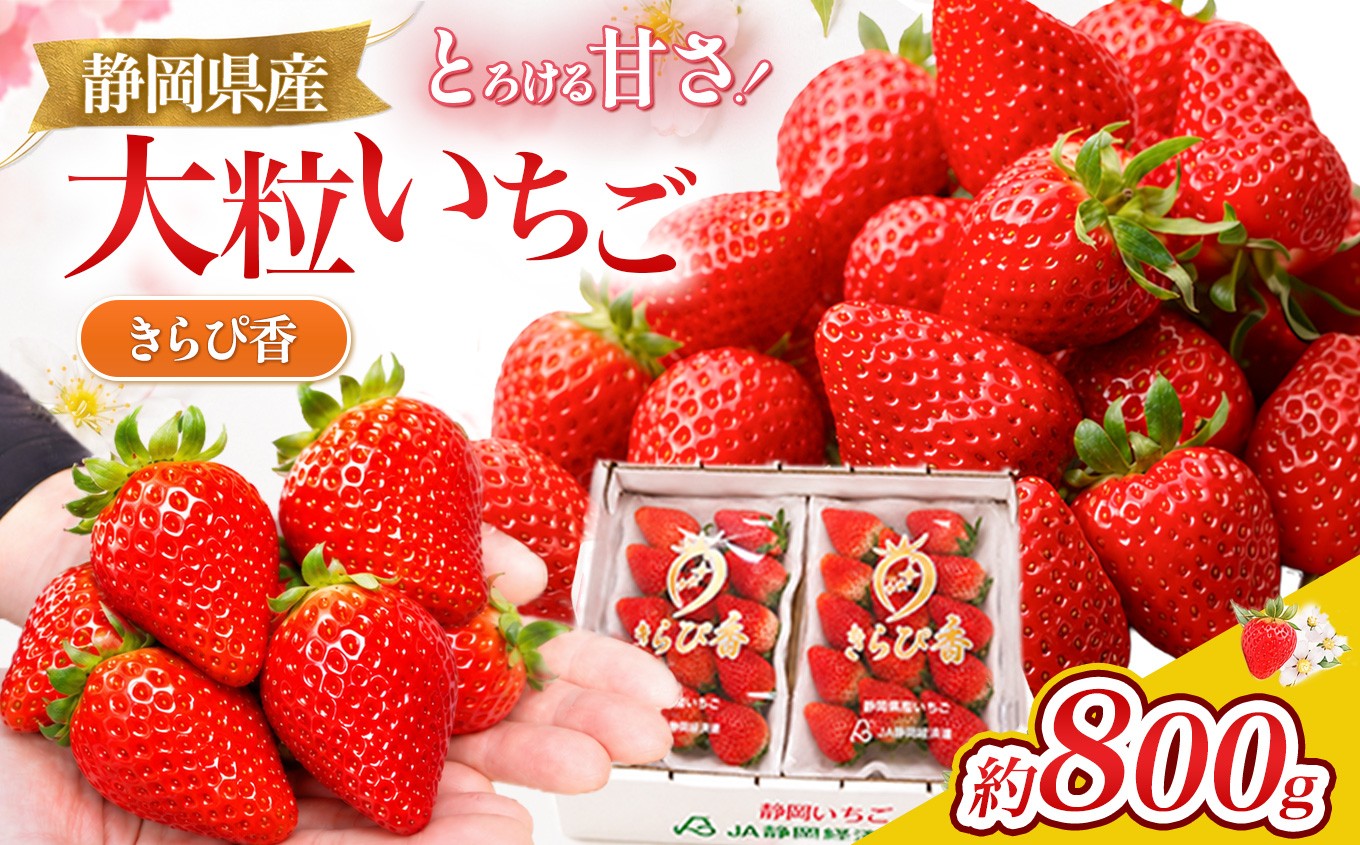 
                  【数量限定】希少いちご！名産地 伊豆のきらぴ香（約400g×2パック）
                