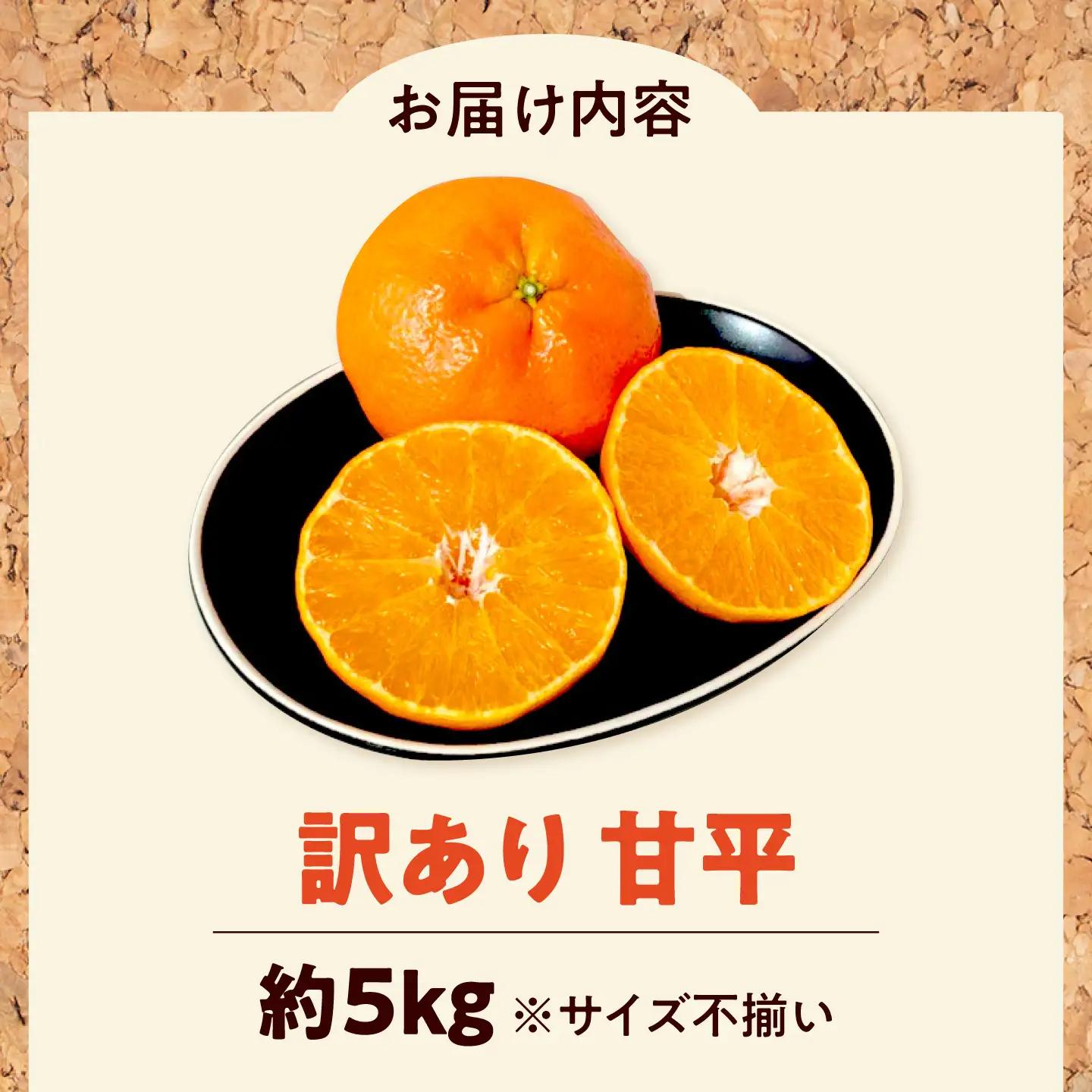 みかん 訳あり 甘平 サイズ不揃い 約5kg【1月上旬から2月下旬まで順次発送】/ フルーツ 果物 蜜柑 ミカン オレンジ 訳あり 訳アリ 小玉 甘い 先行予約 5kg 愛媛 / 愛媛県砥部町/えひめ