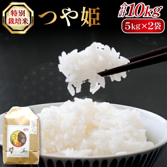 【ふるさと納税】 氷感熟成 つや姫 10kg 特別栽培米 島根県産 大田市産 米 ご飯 石見銀山 氷感つや姫 減農薬 減化学肥料 ごはん お弁当 おにぎり おむすび 特産品 お取り寄せ グルメ
