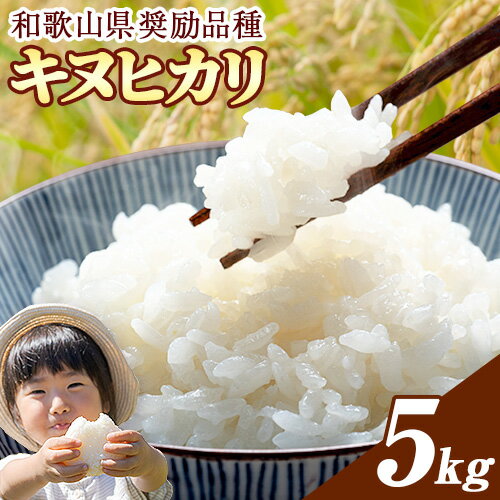 【ふるさと納税】【先行予約】米 日高川産 キヌヒカリ 約5kg 山啓農園 《9月中旬-1月中旬頃出荷》 和歌山県 日高川町 米 お米 ご飯 おにぎり