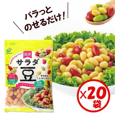 ふるさと納税 射水市 「パラっとカラフル 国産 サラダ豆 120g」×20袋