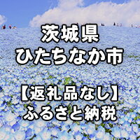【ふるさと納税】茨城県ひたちなか市への寄付（返礼品はありません）