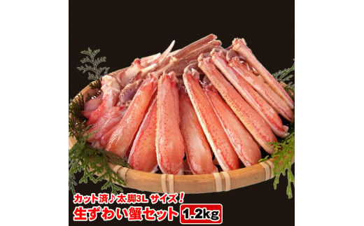 生ズワイ蟹セット カット済 1.2kg 海鮮 カニ かに ズワイガニ ずわい蟹 楚蟹 ずわいがに 肩 かた 5Lサイズ 特大 大型 大容量 ボイルカニ ボイルズワイガニ 蟹しゃぶ かにしゃぶ