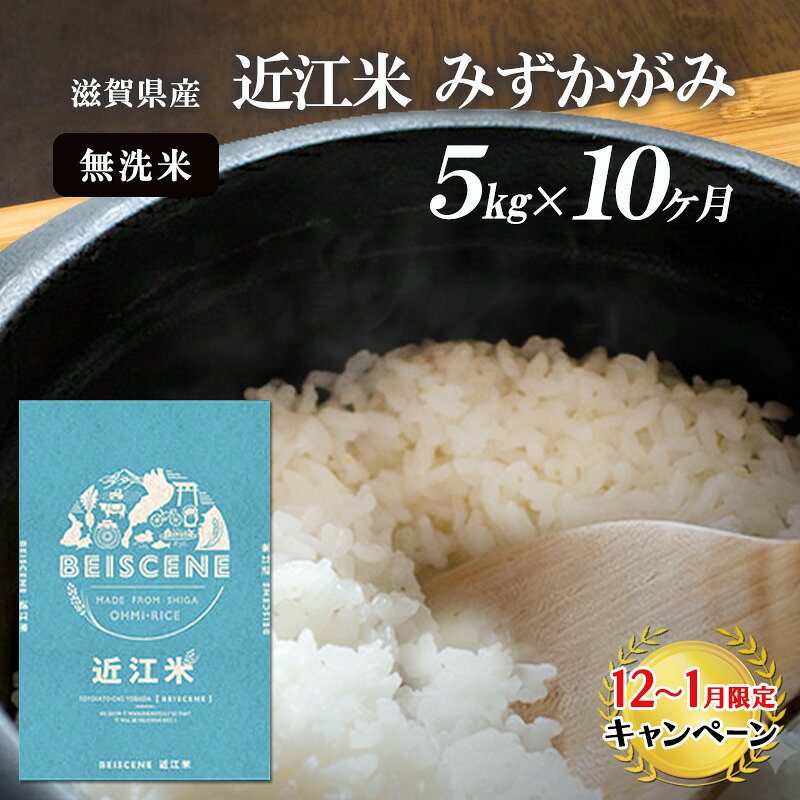【ふるさと納税】【定期便】令和7年産新米　滋賀県豊郷町産　近江米 みずかがみ　無洗米　5kg×10ヶ月 お米 　お届け：ご入金の翌月中旬に出荷いたします