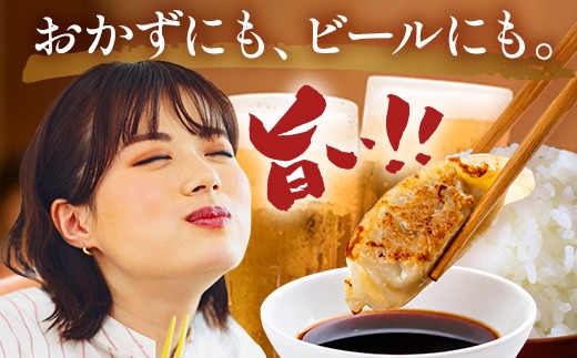 庄原特産 比婆牛餃子 広島菜餃子 合計2パック | 餃子食べ比べ ぎょうざ ギョウザ セット 食べ比べ 肉餃子 野菜ぎょうざ 国産ぎょうざ 冷凍餃子 黒毛和牛 ブランド牛 惣菜 おかず