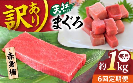 【全6回定期便】【訳あり】天然 まぐろ 赤身（約1kg） わけあり ワケあり 鮪 マグロ 魚 刺身 まぐろ あかみ 横須賀【本まぐろ直売所】 [AKAK057]