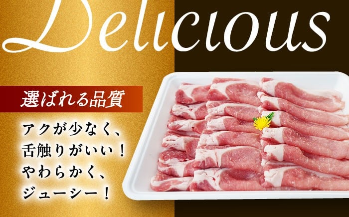 肉 豚 ぶた ブタ ロース 焼肉 焼き肉 しゃぶしゃぶ 小分け 西海市 長崎 九州 定期便