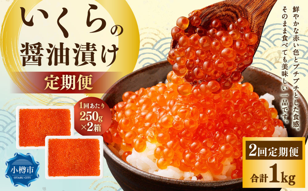
            【2回定期便】いくらの醤油漬け 500g（250g×2） いくら イクラ 醤油漬け 冷凍 北海道 小樽市
          