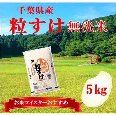 ふるさと納税 大網白里市 【新米 令和7年産】千葉県産「粒すけ」無洗米 5kg(5kg×1袋)
