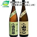 【ふるさと納税】焼酎尾鈴山（山翡翠1本・山ねこ1本） 本格焼酎 米焼酎 芋焼酎 尾鈴山蒸留所 お湯割り 水割り ソーダ割り ロック ストレート 飲み比べ【宮崎県木城町】