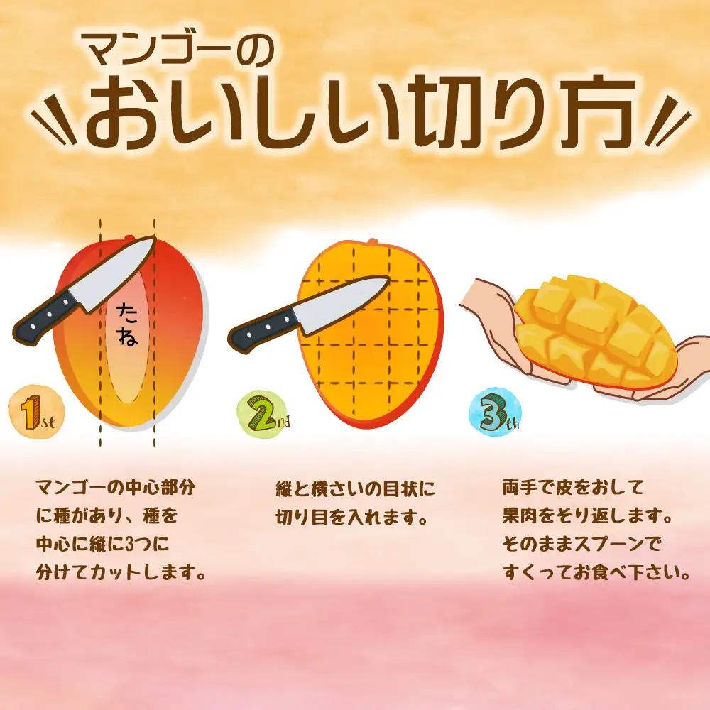 【災害支援】訳あり アップルマンゴー約2kg（3～5玉）【2026年発送】 家庭用 台風 沖縄 甘味 糖度 濃厚 美味しい 被害 おいしい お得 とろける甘さ 香り アーウィン 果汁 コスパ 箱入り 