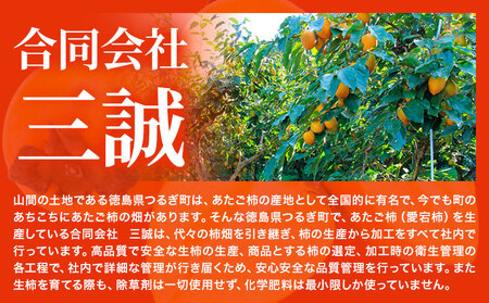 丸ごと柿酢 2本セット（化粧箱入り） 
