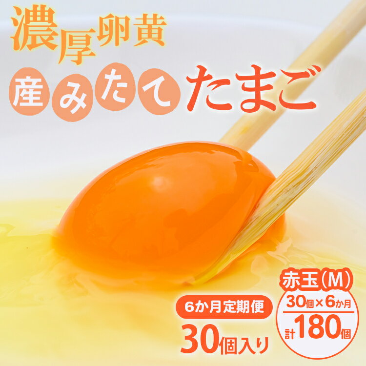 【ふるさと納税】【6ヶ月定期便】小久保ファーム 濃厚卵黄 産みたてたまご 赤玉30個入り（M玉） | 定期便 6カ月 6回 卵 30個 赤玉 玉子 たまご タマゴ 生卵 鶏卵 産みたて 新鮮 濃厚 健康 国産 ギフト 贈答 贈り物 お中元 お歳暮 プレゼント 農家直送 _EI06