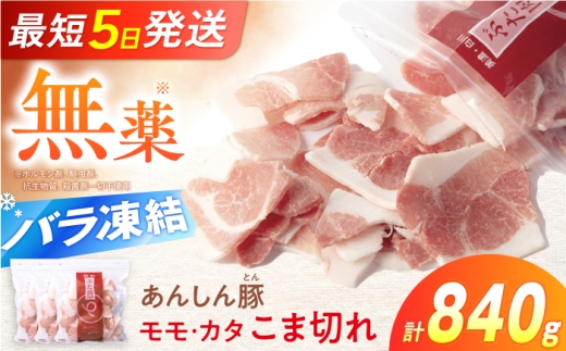 《バラ凍結》モモ・カタ こま切れ 840g（280g×3袋）国産 豚肉 豚こま 小間 国産 国産豚肉  小分け 豚コマ 豚小間 冷凍 豚こまぎれ 豚こま切れ ぶたこま 薄切り モモ肉 カタ肉 お肉 国産豚 岐阜県 白川町 / 藤井ファーム [AWAF086]