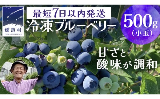 【 最短 7日以内 発送 】 冷凍 ブルーベリー 小玉 500g 数量限定 小粒 国産 フルーツ スムージー 果物 くだもの 農家直送 スイーツ アイス ノーザンハイブッシュ系 ミックス [AT014tu]