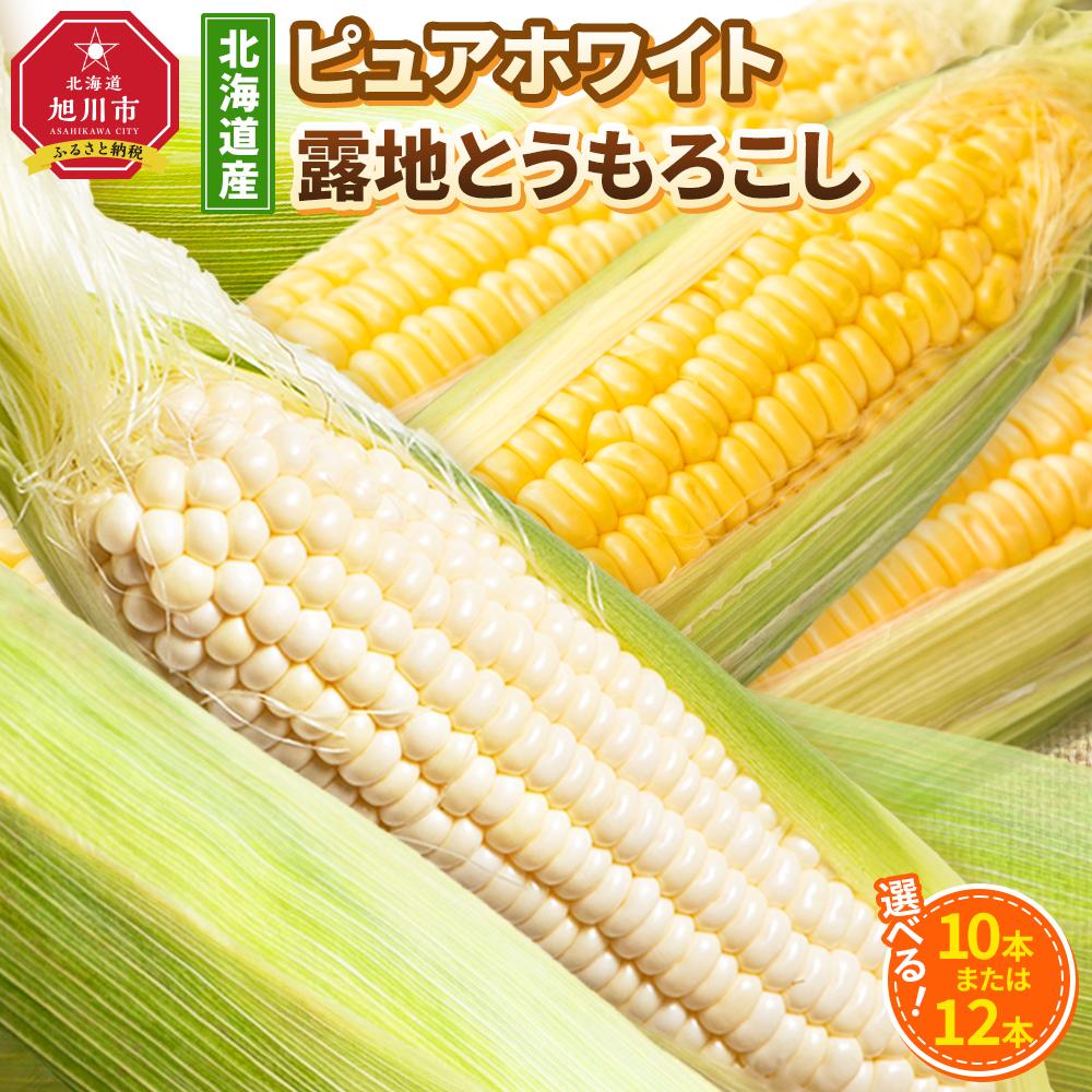 【ふるさと納税】【先行予約】【種類選択可能】北海道産ピュアホワイト・露地とうもろこし　計10本～12本 2025年8月下旬から発送開始予定 | とうもろこし ピュアホワイト 高評価 ランキング 露地栽培 コーン 甘い 糖度 野菜 夏野菜 旬 お取り寄せ 旭川市 北海道