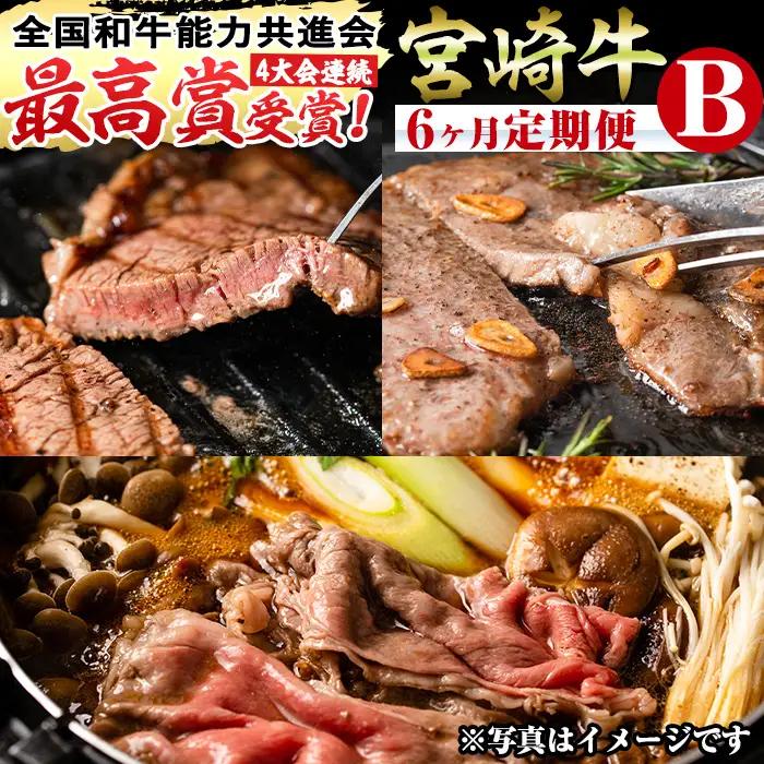【定期便・全6回(連続)】宮崎牛定期便＜Bセット＞牛肉 国産 定期 【R-68】【株式会社ミヤチク】
