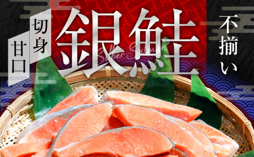 訳あり  銀鮭 切身 甘口 ( 不揃い ) 約2kg 鮭 冷凍 切り身 ワケあり わけあり カマ尻尾込み ss00005