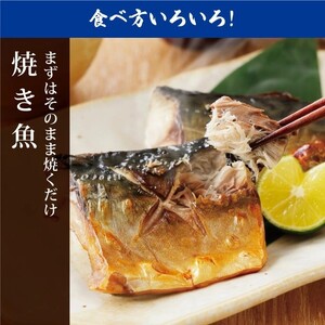 【訳あり】 さば サバ 北三陸産 無塩 鯖フィレ 半身 1kg （4～7枚入り） 【真空パック入り】 切身 フィレ 魚 海鮮 焼き魚 おかず