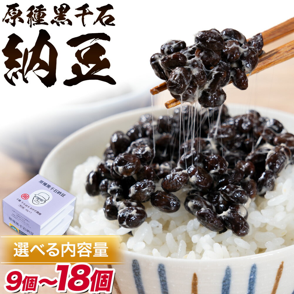 【ふるさと納税】原種黒千石納豆 十勝うらほろおかだ農園 3パック×3個 (1パック40g) 納豆《30日以内に出荷予定(土日祝除く)》北海道 浦幌町 十勝 納豆 冷凍 スーパーフード 朝ごはん