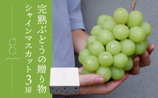 先行受付2025年発送【glasses farm】完熟ぶどうの贈り物（シャインマスカット3房）※2025年9月中旬〜10月末頃発送予定