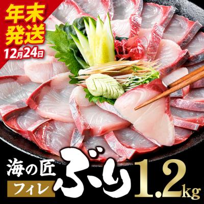 ふるさと納税 佐伯市 ＼2026年12月24日発送!先行予約/海の匠 ブリ フィレ (1.2kg)