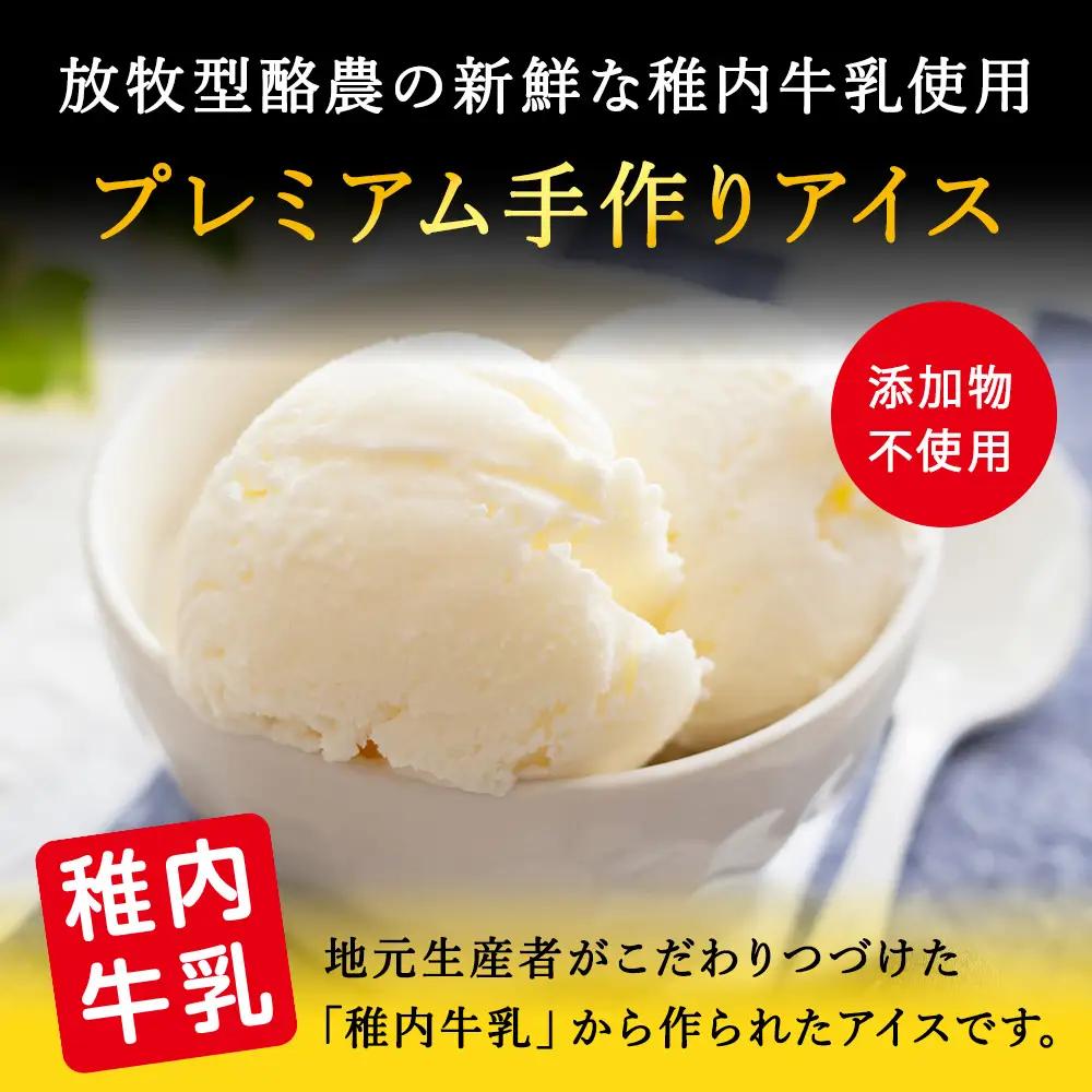 【業務用】稚内牛乳アイスクリーム2000ml宗谷の塩×宗谷の塩2個セット【配送不可地域：離島・沖縄県】