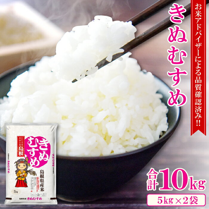 【ふるさと納税】 令和7年産 きぬむすめ 10kg 5kg×2袋 米 お米 精米 白米 ブランド米 お取り寄せ グルメ 特産品 2025年
