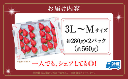 【2026年1月発送】高級いちご「古都華」3L～Mサイズ2パック　いちご 高級 古都華 3L～Mサイズ 280g×2パック 深みのある濃厚な味わい ほどよい酸味 高い糖度 華やかな香り 美味しく甘い 
