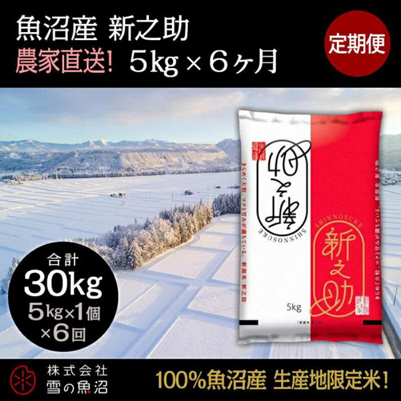 【ふるさと納税】【令和7年産】定期便！魚沼産 新之助【合計30kg】5kg×6回 お米 米 こめ コメ 　お届け：10月以降より準備でき次第、寄付ご入金確認月の翌月より順次発送いたします