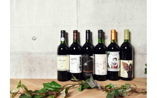 【品種別】飲みくらべ　赤ワイン6本セット（KSB）H-610