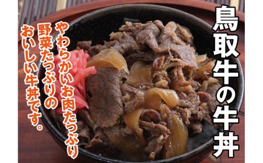とりちく牛丼の素・鳥取ビーフハンバーグ詰め合わせ 312011_CA001