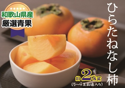 柿 たねなし柿 約2kg【2025年10月上旬から11月上旬頃順次発送】【A087-frks033】