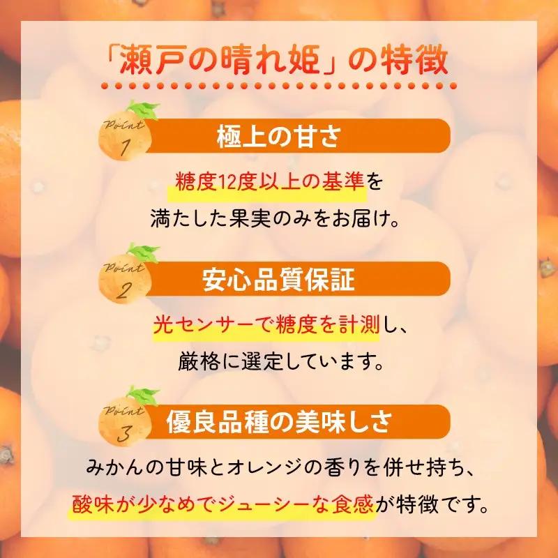 【先行予約】瀬戸の晴れ姫4kg みかん 愛媛みかん 今治市