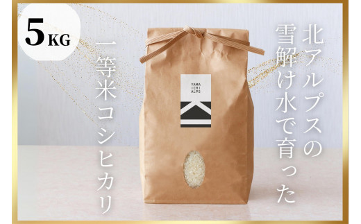 北アルプスの雪解け水で育った一等米コシヒカリ 5KG｜新米 米  老舗農家 地直送 人気 おすすめ  白米 低農薬 ふっくら 甘み ご飯 和食 ギフト 贈答用 送料無料 長野県 大町市 ふるさと納税