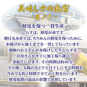 しらす 釜揚げ 定期便 計600g 200g ×3回 先行予約 2025年5月発送 ちりめんじゃこ じゃこ しらす ちりめん 小魚 魚 海鮮 魚介類 魚貝 シーフード いわし 鰯 おかず おつまみ 惣