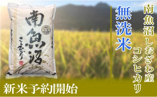 
                  【令和8年産　新米予約】定期便６ヶ月【無洗米】10kg南魚沼しおざわ産コシヒカリ【定期便 銘柄米 ブランド米 無洗米 こしひかり コシヒカリ 魚沼産 新潟米 ごはん】【2026年10月上旬から1ヶ月以内に順次発送予定】
                