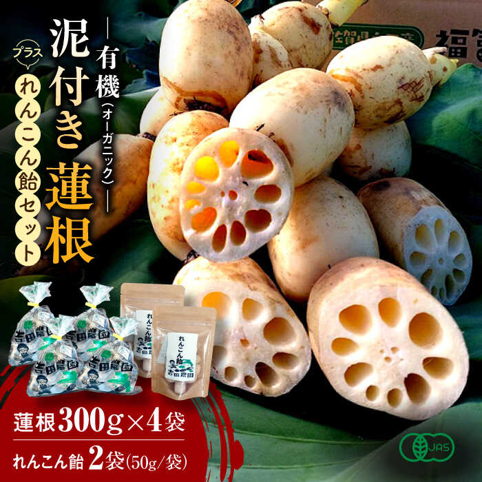 【ふるさと納税】【のどにいいれんこん飴付き】有機（オーガニック）泥付き蓮根 計1.2kg（300g×4袋）とれんこん飴2袋セット / 白石れんこん レンコン 蓮根 有機栽培 オーガニック / 佐賀県 / 吉田農園 [41AHAE002]