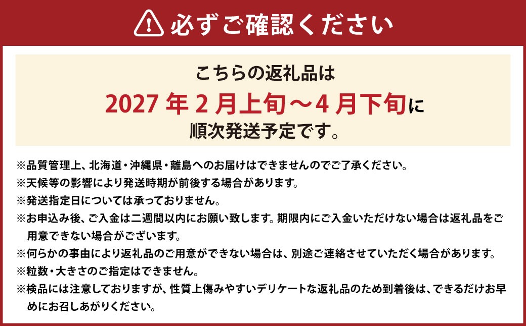 あまおうボリュームセット G規格以上 6パック 計約1500-1620g 苺 いちご フルーツ 国産 冷蔵 【2027年2月上旬～4月下旬発送予定】