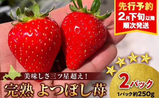 【2027年2月下旬以降発送】北海道産 完熟よつぼし苺(約250g×2パック)