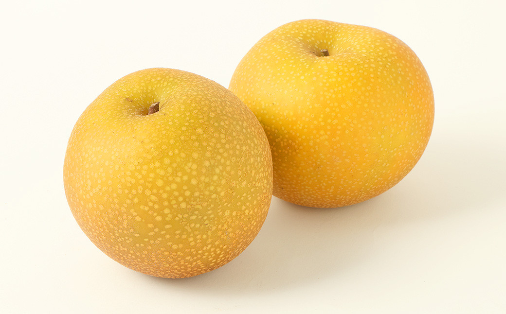 くまもと梨 約3kg （4玉～9玉）