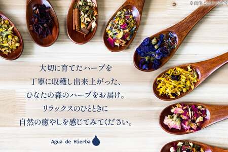 ハーブティー レモングラス 7g 1袋 [Agua de Hierba 宮崎県 日向市 452061661]