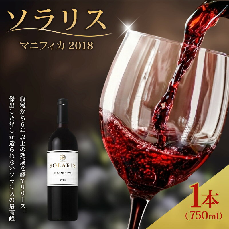 【ふるさと納税】日本ワイン ソラリス マニフィカ 750ml 1本 赤ワイン マンズワイン 酒 お酒 洋酒 果実酒 ぶどう酒 長野 長野県小諸市