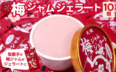 梅ジャムジェラート　【100g×10個】 No.397