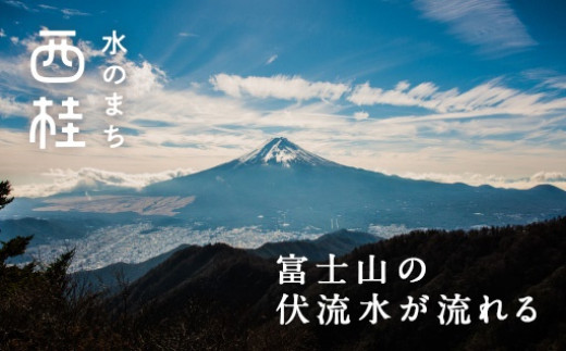 No.249 甲州おざら3人用平袋×6パック ／ セット 冷やしほうとう 郷土料理 山梨県 特産品【n0249_hir_A】