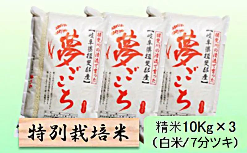 【令和7年産】特別栽培米 30kg【白米、7分ツキ】（夢ごこち） 7分ツキ