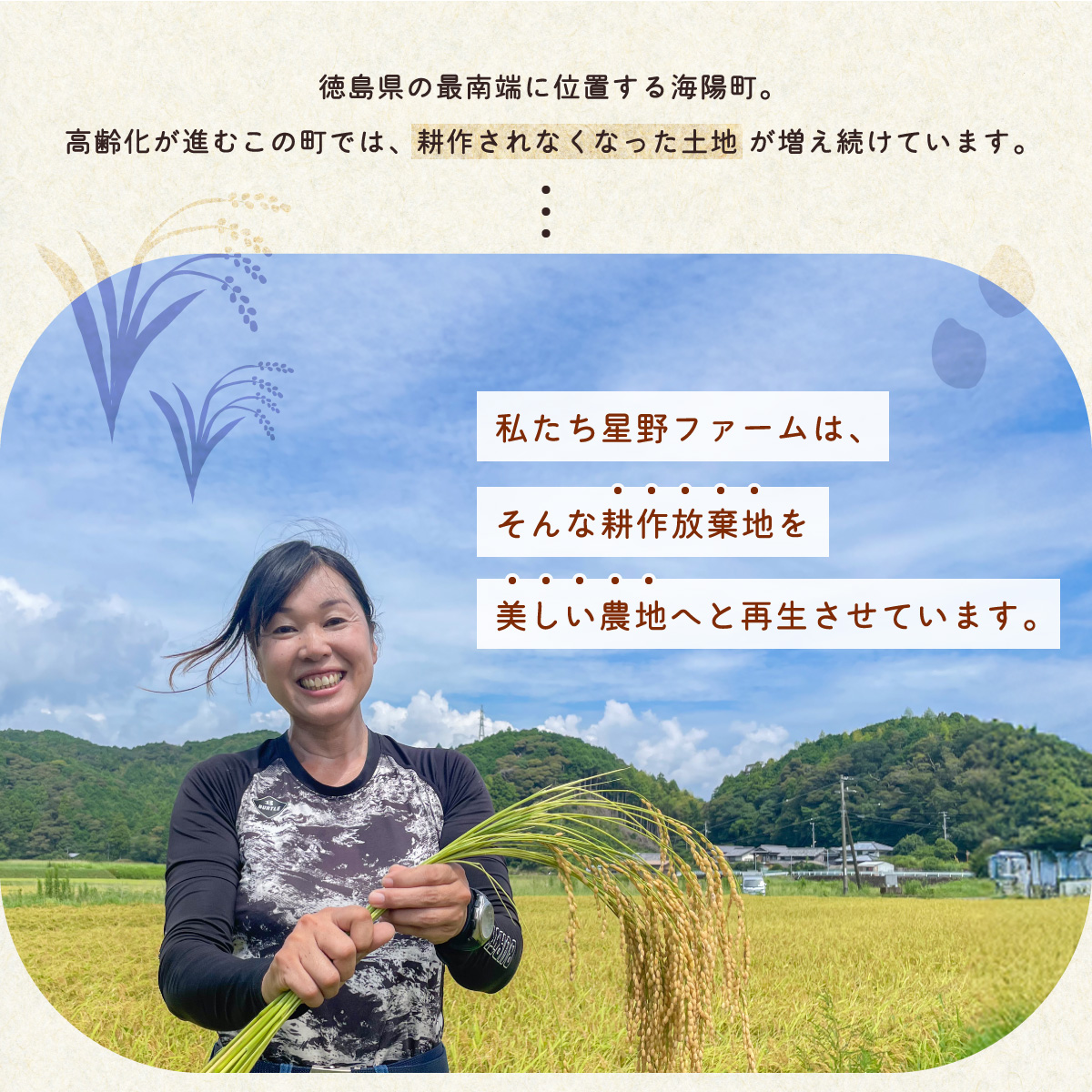 さつまいも 食べ比べ 3種 計8kg