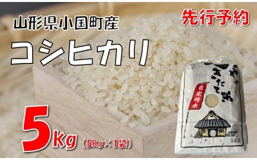 【令和８年産米 先行予約】コシヒカリ5kg　大谷農園